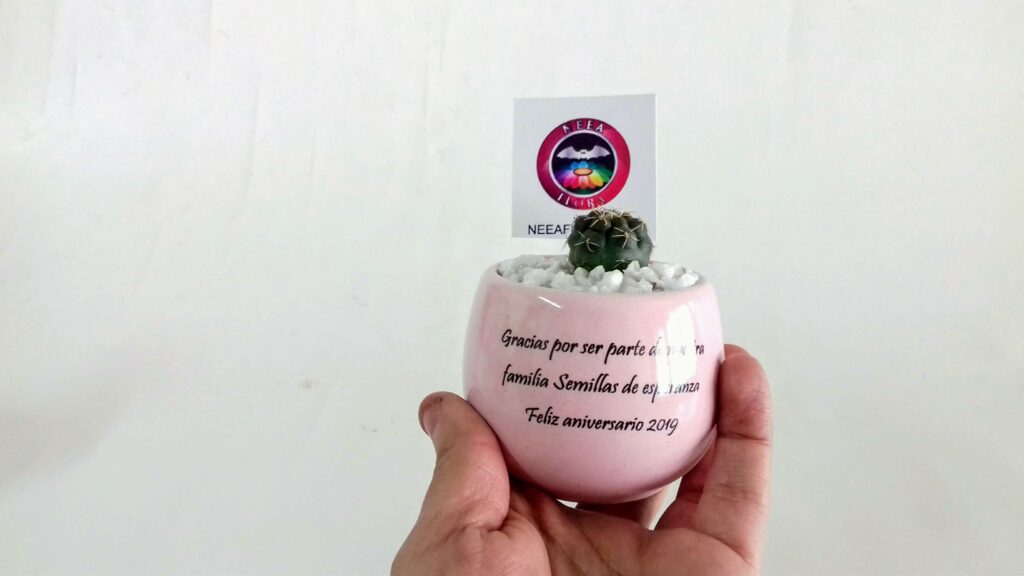 Cactus matera cerámica horneada con mensaje personalizado recordatorios