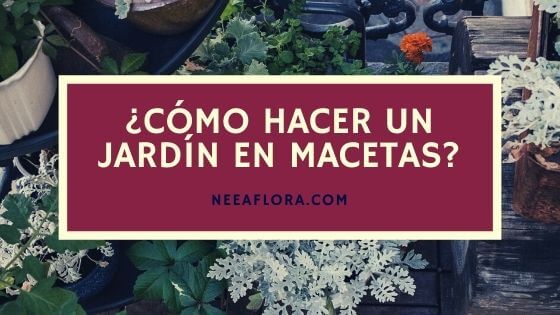 Cómo hacer un jardín en macetas - Blog Caro Lagos