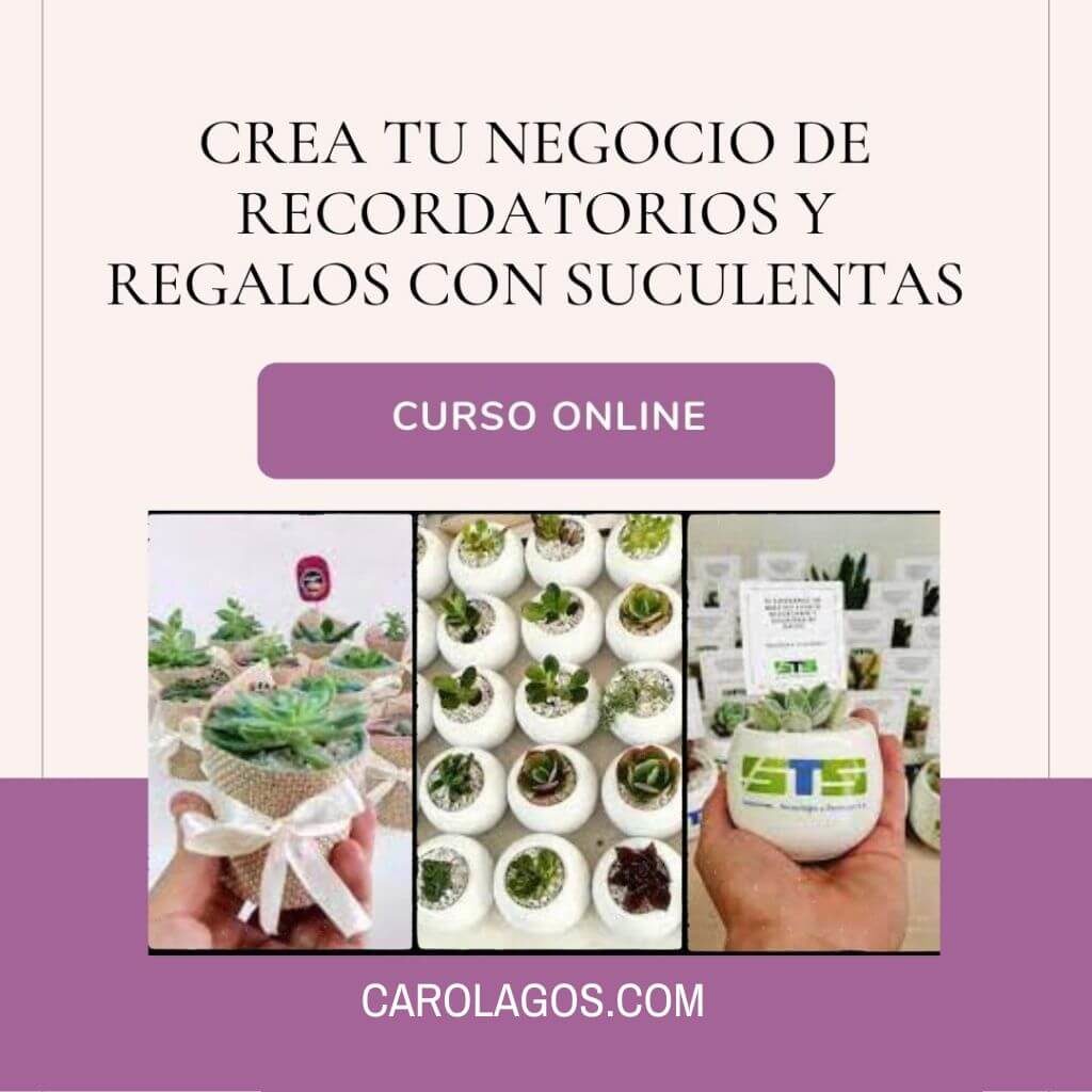 Crea tu negocio de recordatorios y regalos con suculentas - CaroLagos.Com