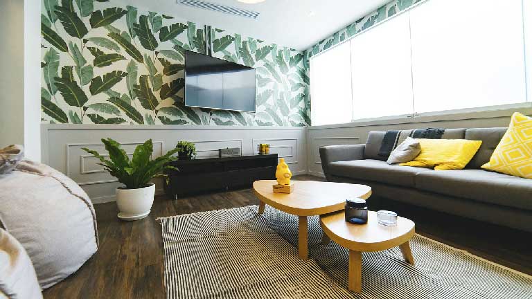 Mejores plantas de interior Plantas forma textura con patrón de fondo Caro Lagos