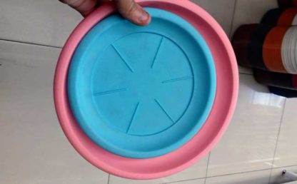 Platos para macetas-Caro Lagos