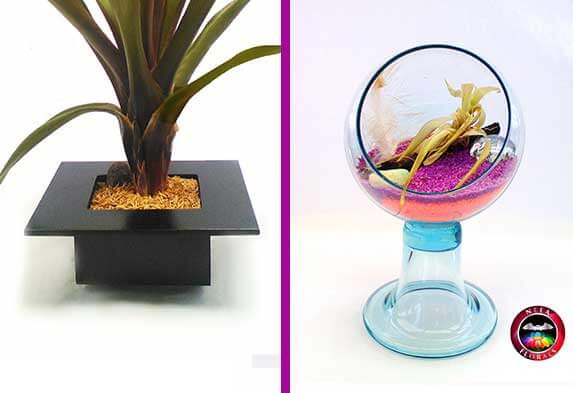 tipos-de-materas-para-tus-plantas-materiales-materas-macetas-de-madera-y-de-vidrio-terrario-Caro Lagos